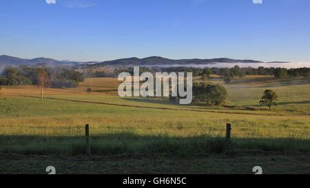 Paysage rural près de Wauchope, Australie. La scène du matin. Banque D'Images