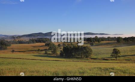 Matin brouillard sur les terres agricoles près de Wauchope, Australie. Banque D'Images