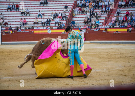 Jaen, Espagne - 17 octobre 2008 : Le torero Espagnol Daniel Luque la corrida avec la béquille dans l'Arène de Jaen, Espagne Banque D'Images