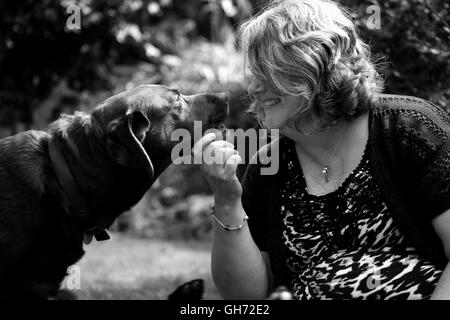 Portrait de chien, chien, photographie, heureux, l'été, l'animal, animal, chien de formation, les vétérinaires, la photographie en noir et blanc, grand chien Banque D'Images