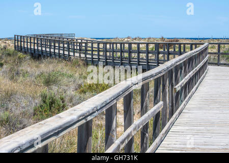 Promenade sur les dunes de sable de San Pedro de Pinatar Murcia Espagne Banque D'Images