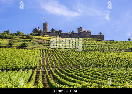 Burg Thurant au vignoble de la moselle Banque D'Images