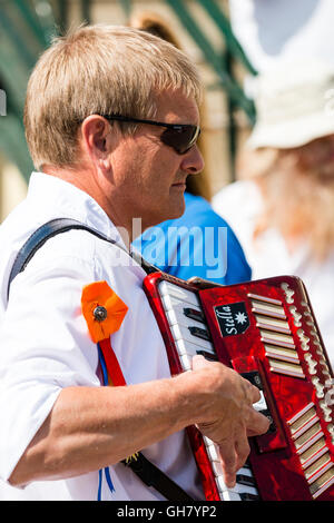 L'Angleterre, Broadstairs Semaine folklorique. Madcap Morris homme jouant de l'accordéon, close-up, vue de côté. Homme mûr, avec de courts cheveux gris. En plein air, au soleil. Banque D'Images