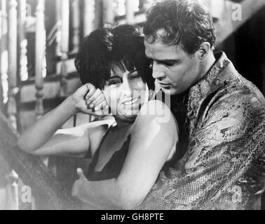 DER MANN IN DER SCHLANGENHAUT / Le Fugitif Genre USA 1959 / Sidney Lumet Anna Magnani (Lady Torrance), Marlon Brando (Val Xavier) Régie : Sidney Lumet aka. Le Fugitif Genre Banque D'Images