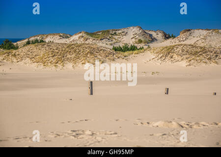 Les dunes de la parc national de Slowinski en Pologne Banque D'Images