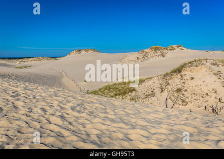 Les dunes de la parc national de Slowinski en Pologne Banque D'Images