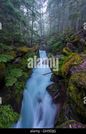 L'eau s'engouffre dans le canyon d'Avalanche Creek dans le parc national des Glaciers Banque D'Images