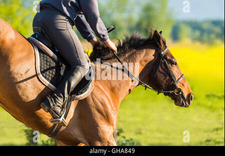 Saut man avec cheval brun Banque D'Images