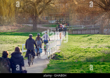 Les cyclistes de Cambridge, lors d'une matinée de printemps, les gens font leurs vélos sur un chemin à Coe Fen qui relie les côtés est et ouest de Cambridge, Angleterre, Royaume-Uni. Banque D'Images