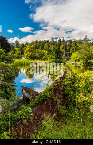 Le parc Stanley, Vancouver, British Columbia, Canada Banque D'Images