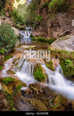 Cascades d'Akchour, Parc National de Talassemtane, Rif, M Banque D'Images