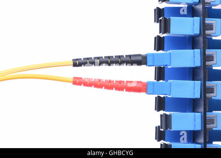 Câble réseau à fibre optique avec optical distribution frame isolé sur fond blanc Banque D'Images