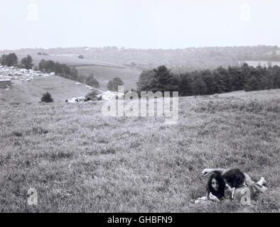 WOODSTOCK USA 1969 Michael Wadleigh chronique du film du légendaire festival de musique de Woodstock. 1969 fand das plein air.-Festival "Woodstock" in der kleinen Gemeinde Béthel westlich von New York statt. Eine halbe millions vite strömte spektakulärsten junger Amerikaner zum Festival der Rockgeschichte, das vor dem Hintergrund von Rassismus und zum Vietnamkrieg musikgeschichtlichen Hippie-Bewegung wurde der Höhepunkt. Bild : Festivalbesucher auf einer Wiese régie : Michael Wadleigh Banque D'Images