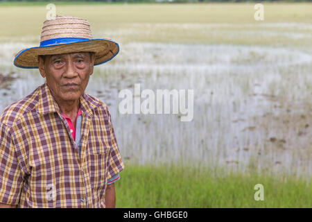 Le riz thaïlandais Senior farmer à rêveusement à huis clos en face de champ de riz Banque D'Images