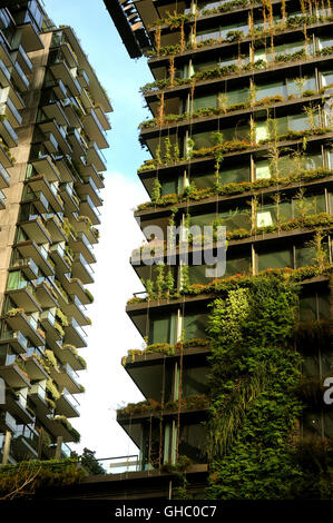 Jardin Vertical sur une tour de Sydney à la Place Verte Banque D'Images