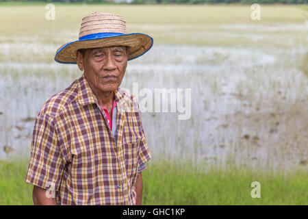 Le riz thaïlandais Senior farmer avec les yeux fermés en face de riz rizière Banque D'Images