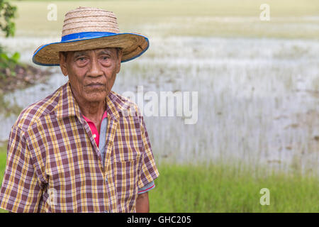 Personnes âgées du riz Thaï farmer portant un chapeau et regardant en bas avec une rizière en arrière-plan Banque D'Images