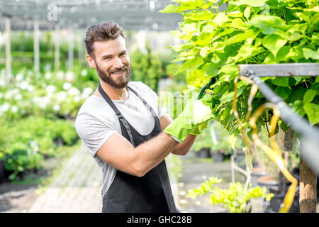 Un arbre l'élagage jardinier Banque D'Images