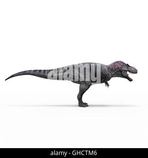 Tyranosaur isolé sur fond blanc de rendu 3D Banque D'Images