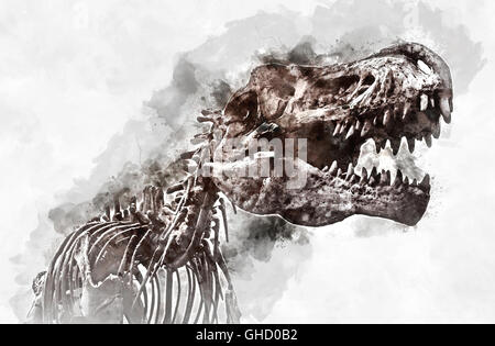Aquarelle numérique d'un squelette de tyrannosaure rex Banque D'Images