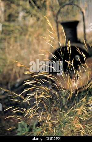Cette vieille lampe a été trouvé dans le cimetière de locomotives à l'Tithorea, Grèce, octobre 1979. Banque D'Images