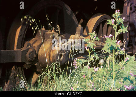 Partout où il y a de métal rouillé, fleurs sauvages abondent. Détails d'une classe d'USATC S160 2-8-0 à Thessalonique, Banque D'Images