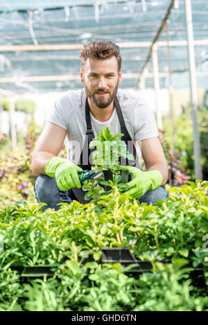 Avec un jardinier plantes vertes dans le foyer Banque D'Images