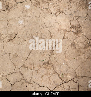 Sauvons la terre. Sur le sol de crack saison sèche, Global Worming effet. Banque D'Images