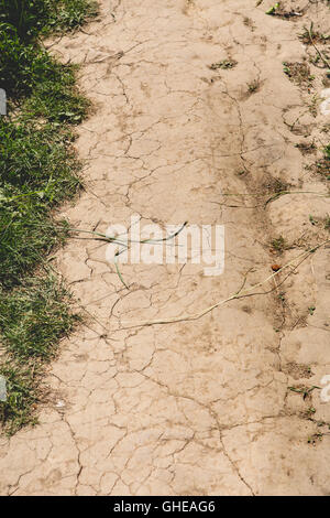 Sauvons la terre. Sur le sol de crack saison sèche, Global Worming effet. Banque D'Images