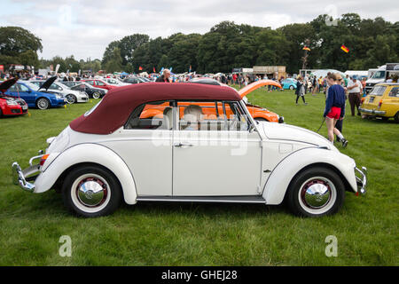 Volkswagen Beetle à Cheshire Tatton Park Banque D'Images