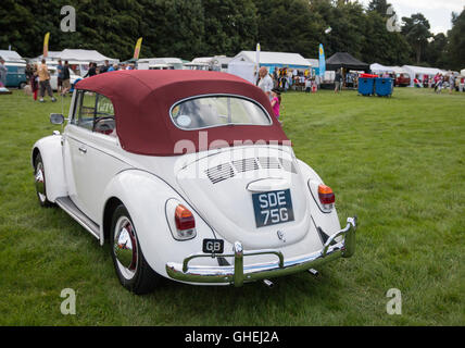 Volkswagen Beetle à Cheshire Tatton Park Banque D'Images