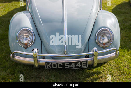 Volkswagen Beetle à Cheshire Tatton Park Banque D'Images