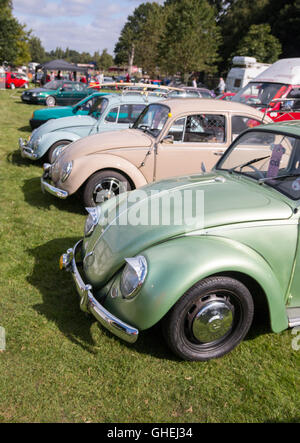 Volkswagen Beetle à Cheshire Tatton Park Banque D'Images