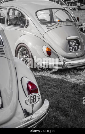 Volkswagen Beetle à Cheshire Tatton Park Banque D'Images