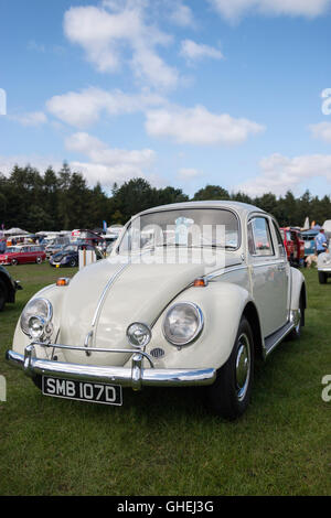 Volkswagen Beetle à Cheshire Tatton Park Banque D'Images