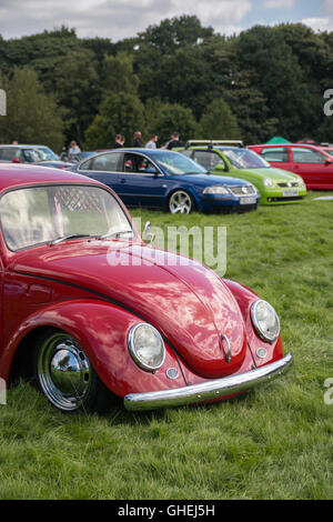 Type 2 Volkswagen Beetle à Tatton Park Cheshire Banque D'Images