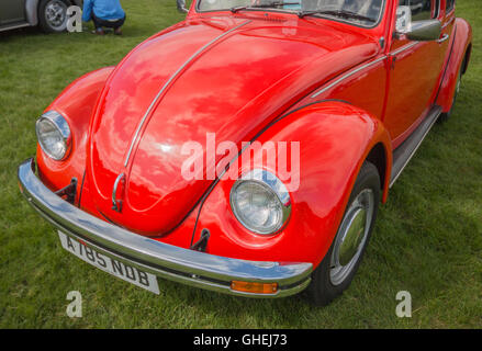 Volkswagen Beetle à Cheshire Tatton Park Banque D'Images