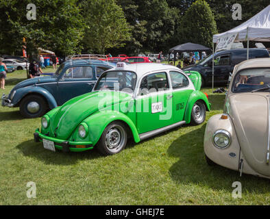 Volkswagen Beetle à Cheshire Tatton Park Banque D'Images