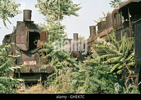 L'ancienne gare à Thesaloniki en Grèce du nord contenait quelques cinquante locomotives, dont beaucoup ont été ces 0-10-0s descen Banque D'Images