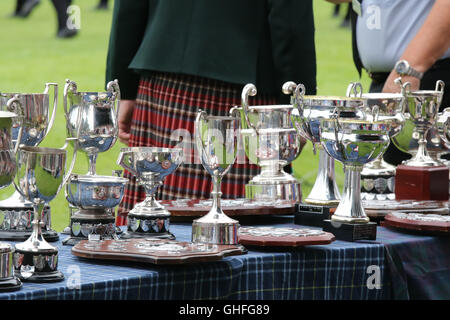 Coupes et trophées lors du Conseil de la ville de Lisburn et Castlereagh Pipe Band Championship 2016 Banque D'Images