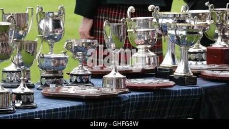 Coupes et trophées lors du Conseil de la ville de Lisburn et Castlereagh Pipe Band Championship 2016 Banque D'Images