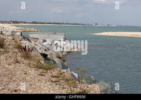 Enregistrer la photo de groupe sur la plage de Pagham fortement érodé une partie de la plage, dans le West Sussex, Royaume-Uni. Mardi 9 août 2016. Photographie Banque D'Images