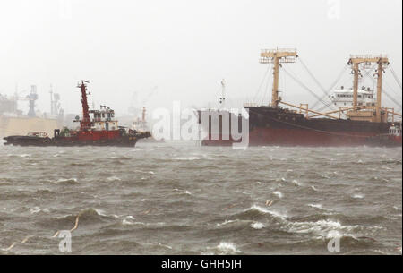 Kaohsiung. 14Th Sep 2016. Les navires sont vus dans le port de Kaohsiung, Taiwan de la Chine du sud-est, le 14 septembre 2016. Typhon Meranti ont créé des vagues 17 mètres de haut le mercredi comme il a balayé large de la côte sud de Taiwan, selon le Centre national de prévision environnementale marine (NMEFC). Meranti devrait toucher terre dans le Fujian et le Guangdong le jeudi, et l'état de l'Administration océanique a lancé une intervention d'urgence de classe II, le deuxième plus haut niveau. Source : Xinhua/Alamy Live News Banque D'Images