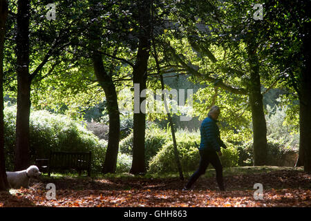 Wimbledon Londres, Royaume-Uni. 28 Sep, 2016. Les gens marchent sur Wimbledon Common baignée de soleil d'automne : Crédit amer ghazzal/Alamy Live News Banque D'Images