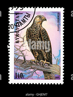 Timbre-poste de Kirghizistan représentant un faucon sacre (Falco cherrug) Banque D'Images