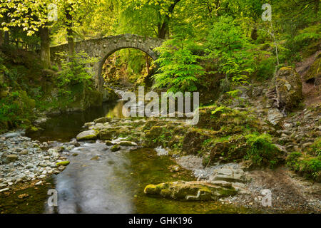 Foley's Pont sur la rivière Shimna à Tollymore Forest Park, l'Irlande du Nord. Banque D'Images