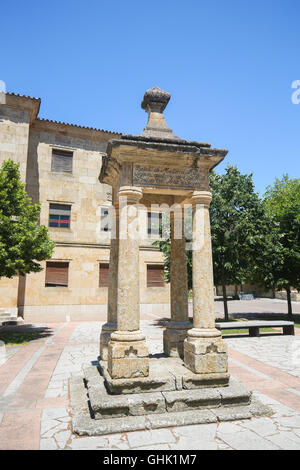 Monument à la Cathédrale de Ciudad Rodrigo, une ville frontalière en Castille et Leon, Espagne. Banque D'Images