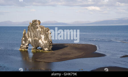 Hvitserkur, un animal rock formation dans le nord de l'Islande. Banque D'Images