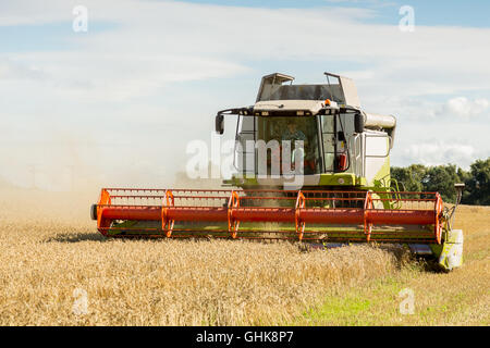 La récolte à la moissonneuse-batteuse au travail un champ de cultures à la poussière montrant le fonctionnement. Photo prise le : Septembre 13th, 2015 Banque D'Images