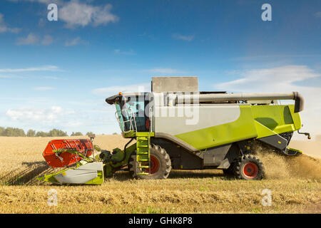 La récolte à la moissonneuse-batteuse au travail un champ de cultures à la poussière montrant qu'il fonctionne. Photo prise le : Septembre 13th, 2015 Banque D'Images